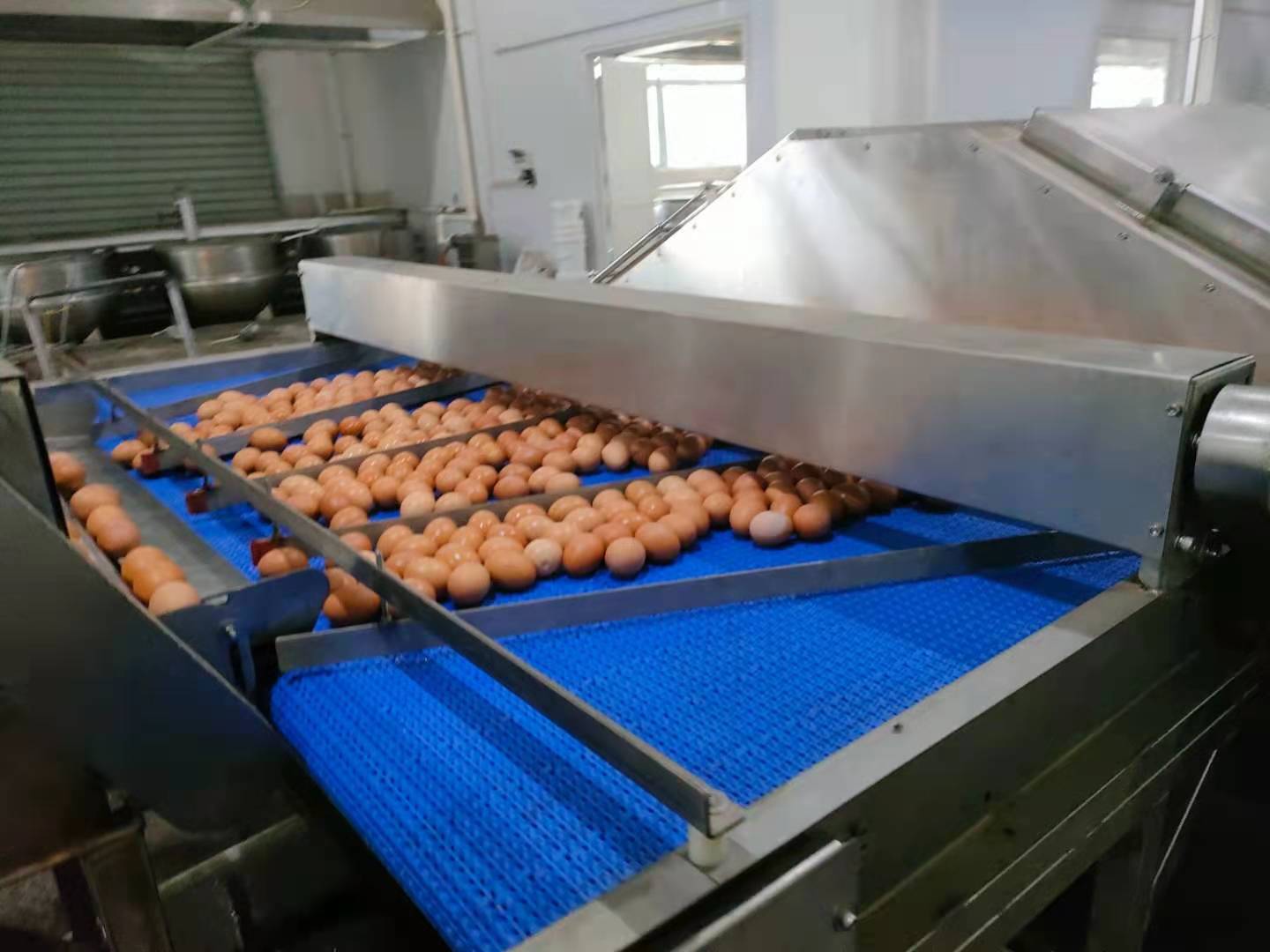 Quail Egg Simple Assembly Line