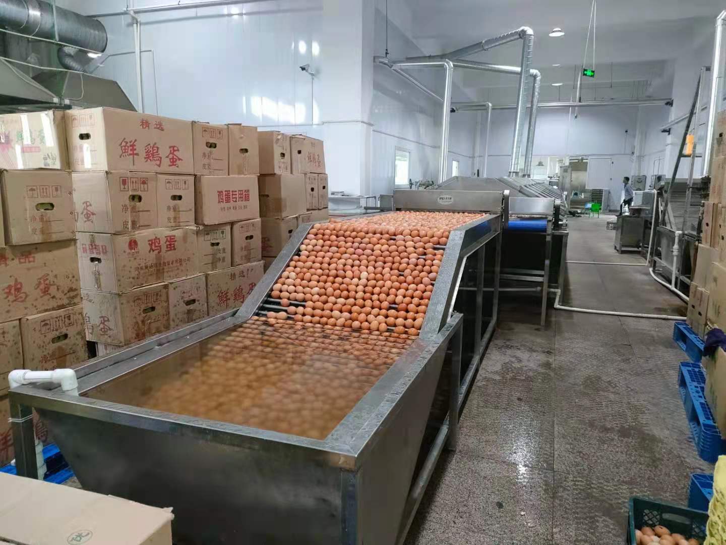 Egg Cooking and Shelling Production Line
