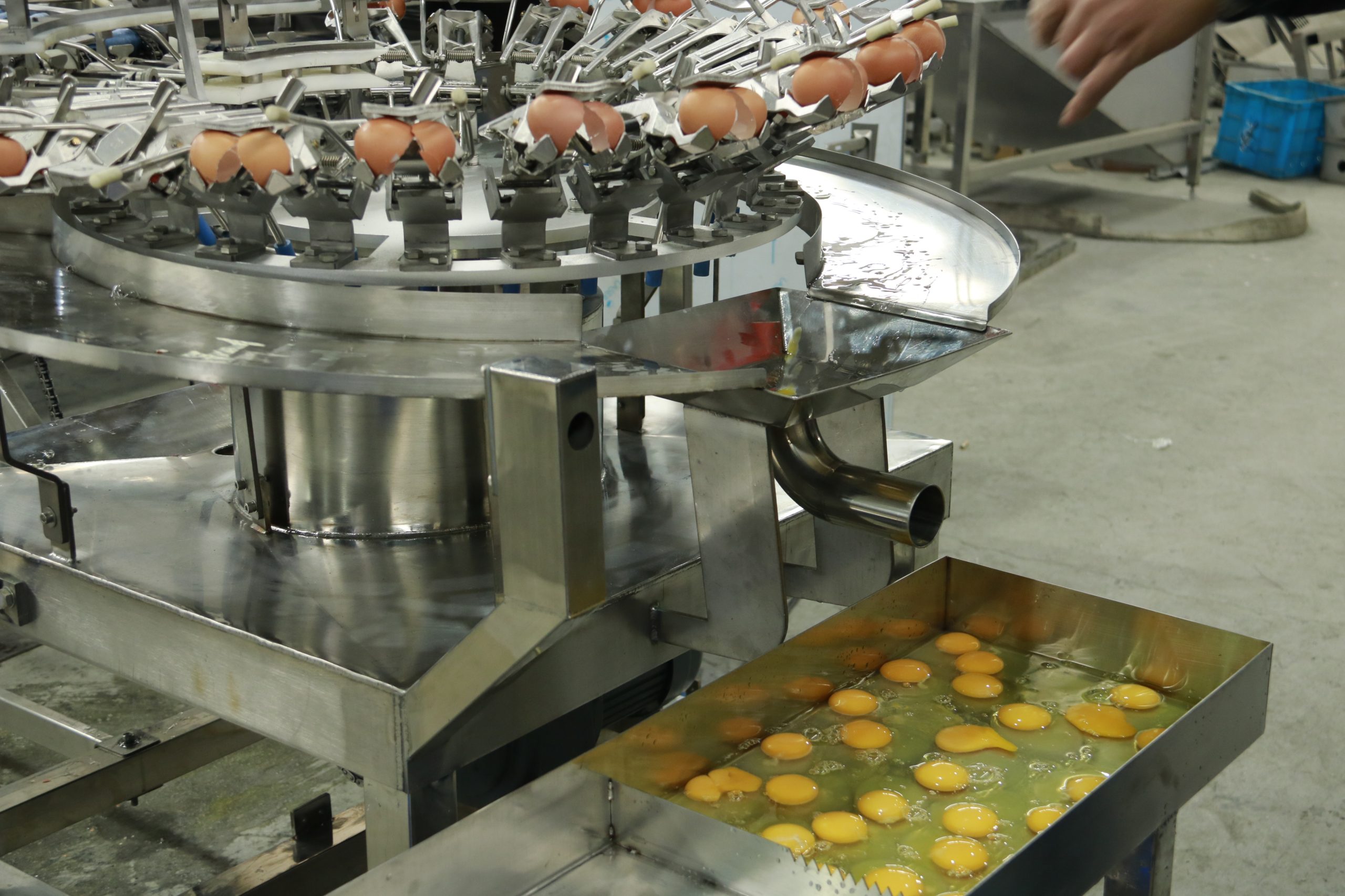 Egg Sheller (Simple Type)